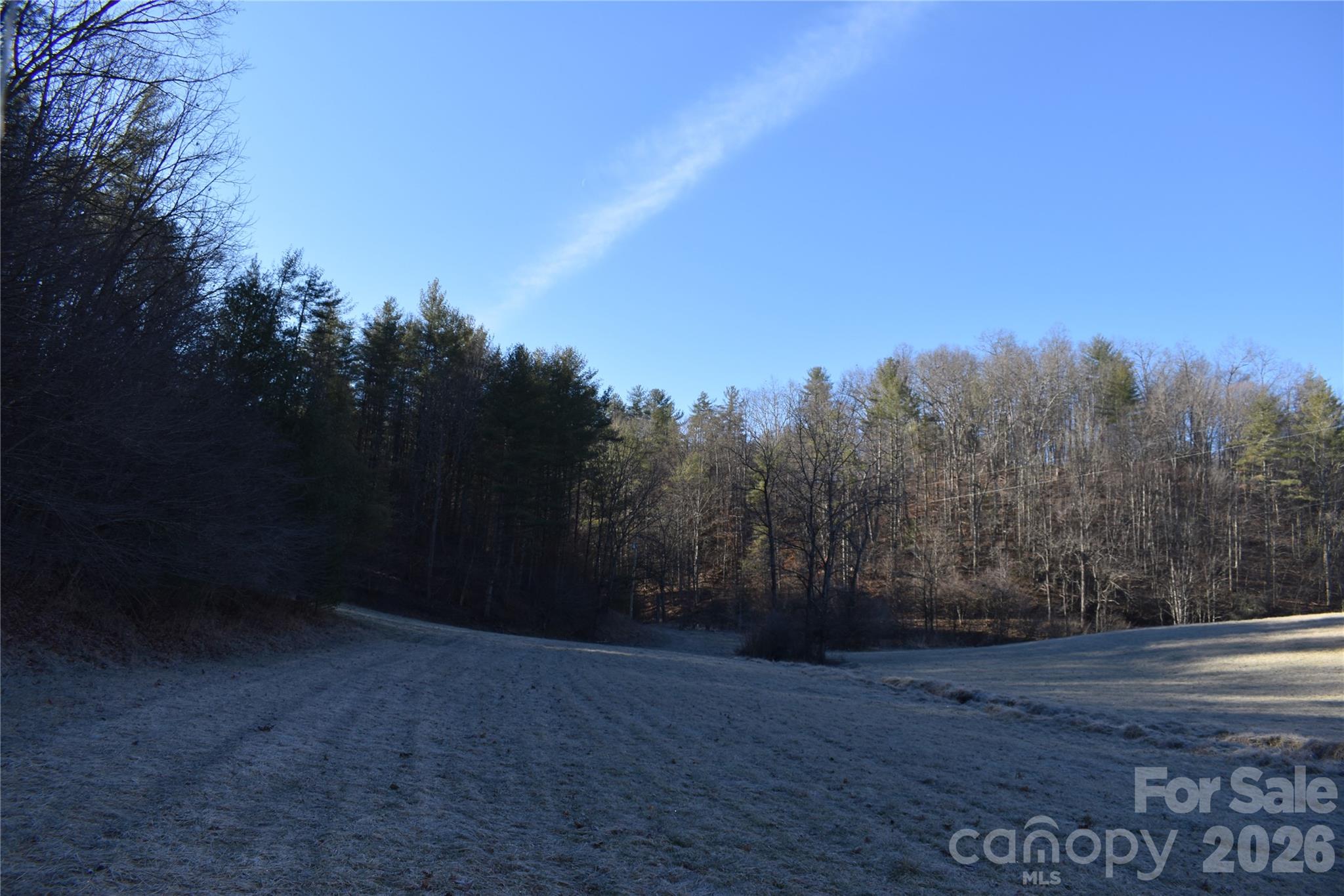 448 Sweetwater Road Green Mountain, NC 28740 - Photo 9 of 47