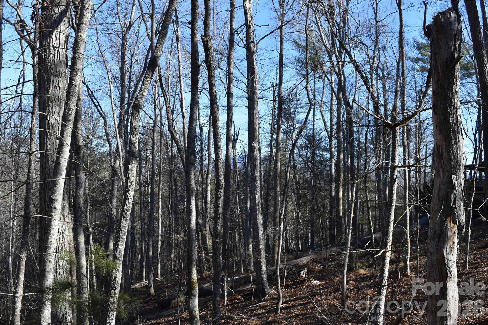 448 Sweetwater Road Green Mountain, NC 28740 - Photo 10 of 47