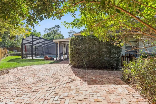 a view of a backyard with plants and large tree