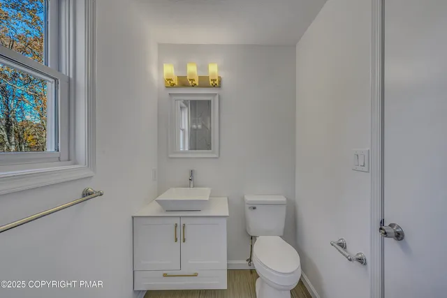 a bathroom with a toilet a sink and mirror