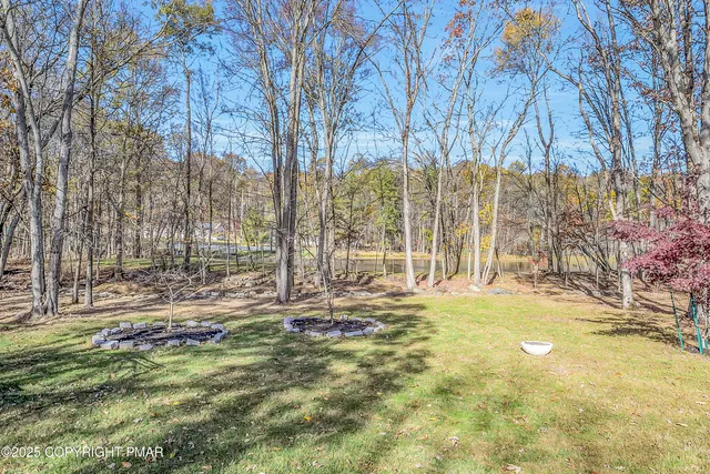 a view of yard with tree in the background