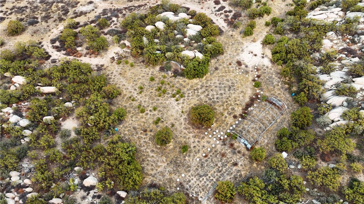 10 Sycamore Springs Road Aguanga, CA 92536 - Photo 12 of 25 a view of a tree