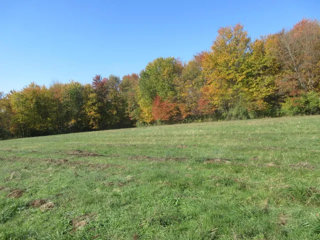 $236,000 | 25399 Henderson Road, West Harrison, IN 47060