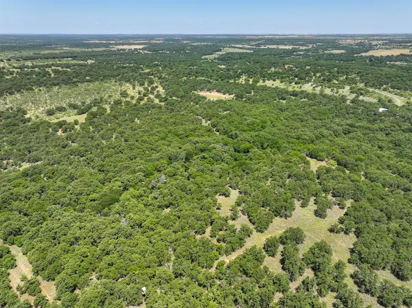 $1,100,000 | 18156 Hwy 281 N Jacksboro Tx 76458 North, Jacksboro, TX 76458