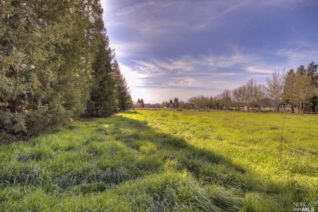 0 William Drive Penngrove, CA 94951 - Photo 1 of 1 Gallery Image 1