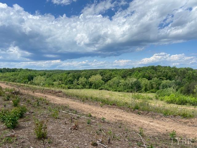 0 Shula Drive Hurt, VA 24563 - Photo 4 of 6 a view of a rural road with plants and trees all around