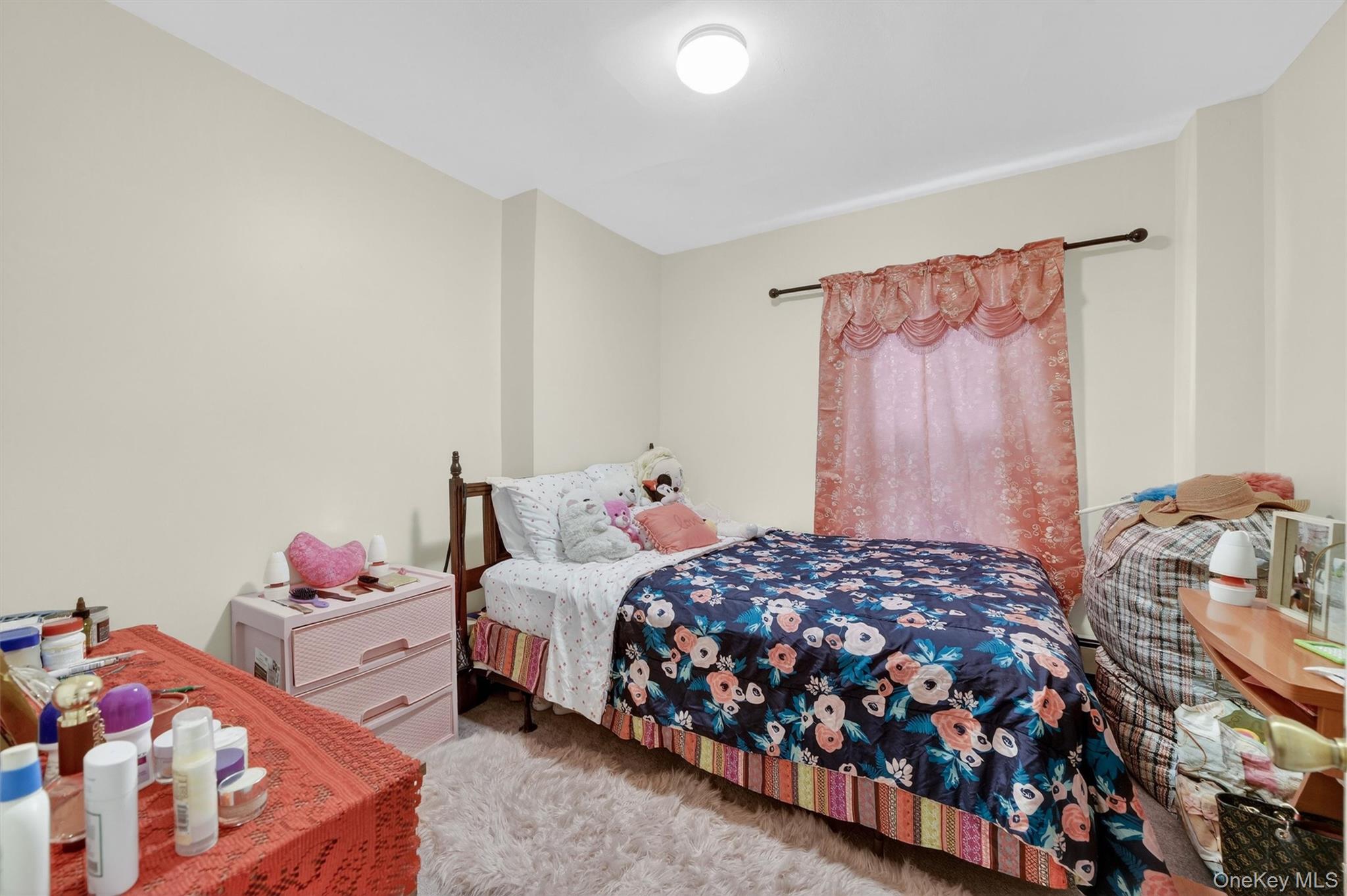 664-666 North Division Street Peekskill, NY 10566 - Photo 30 of 46 Apartment 1LBedroom