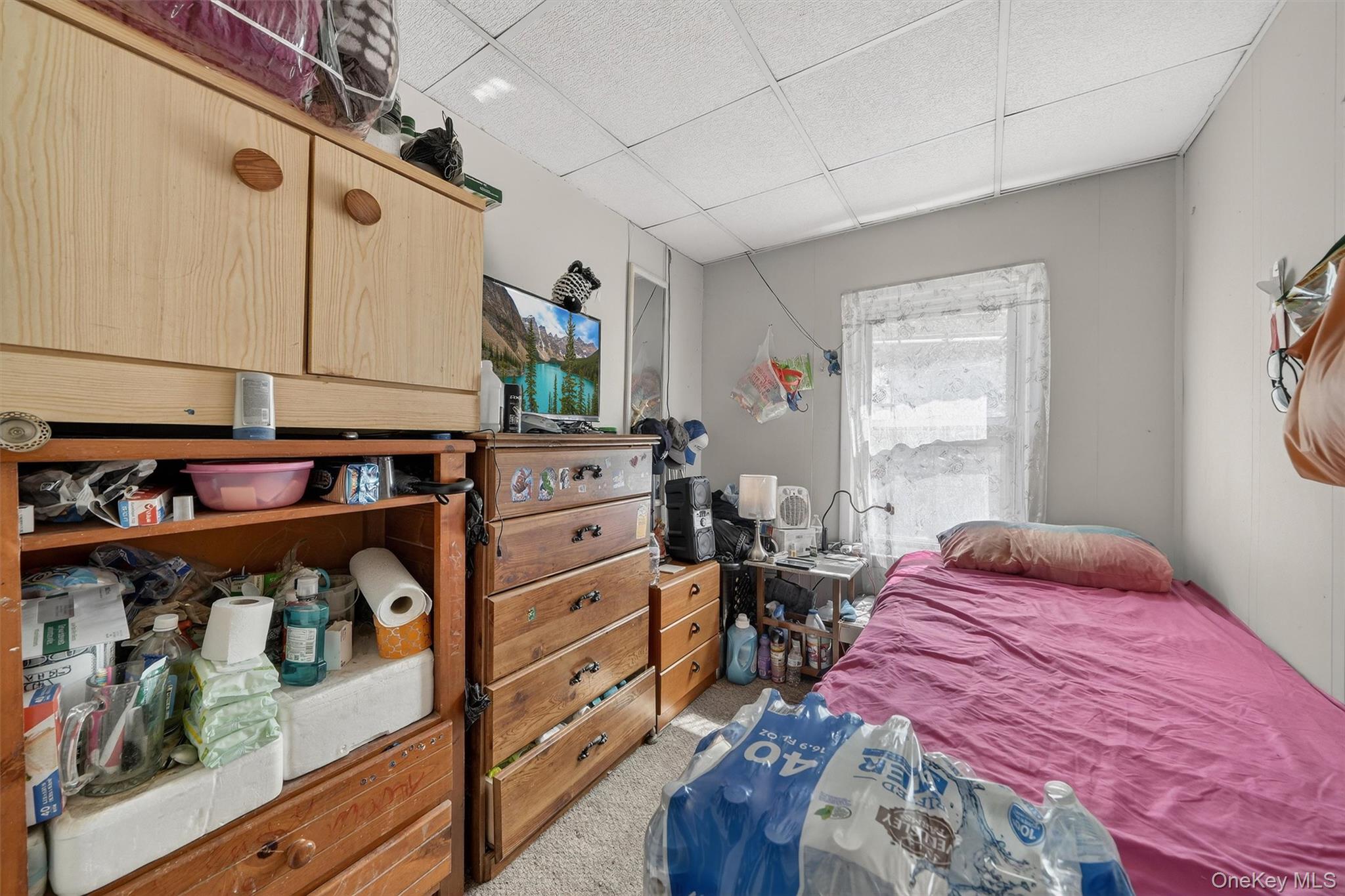 664-666 North Division Street Peekskill, NY 10566 - Photo 44 of 46 Apartment 2FBedroom