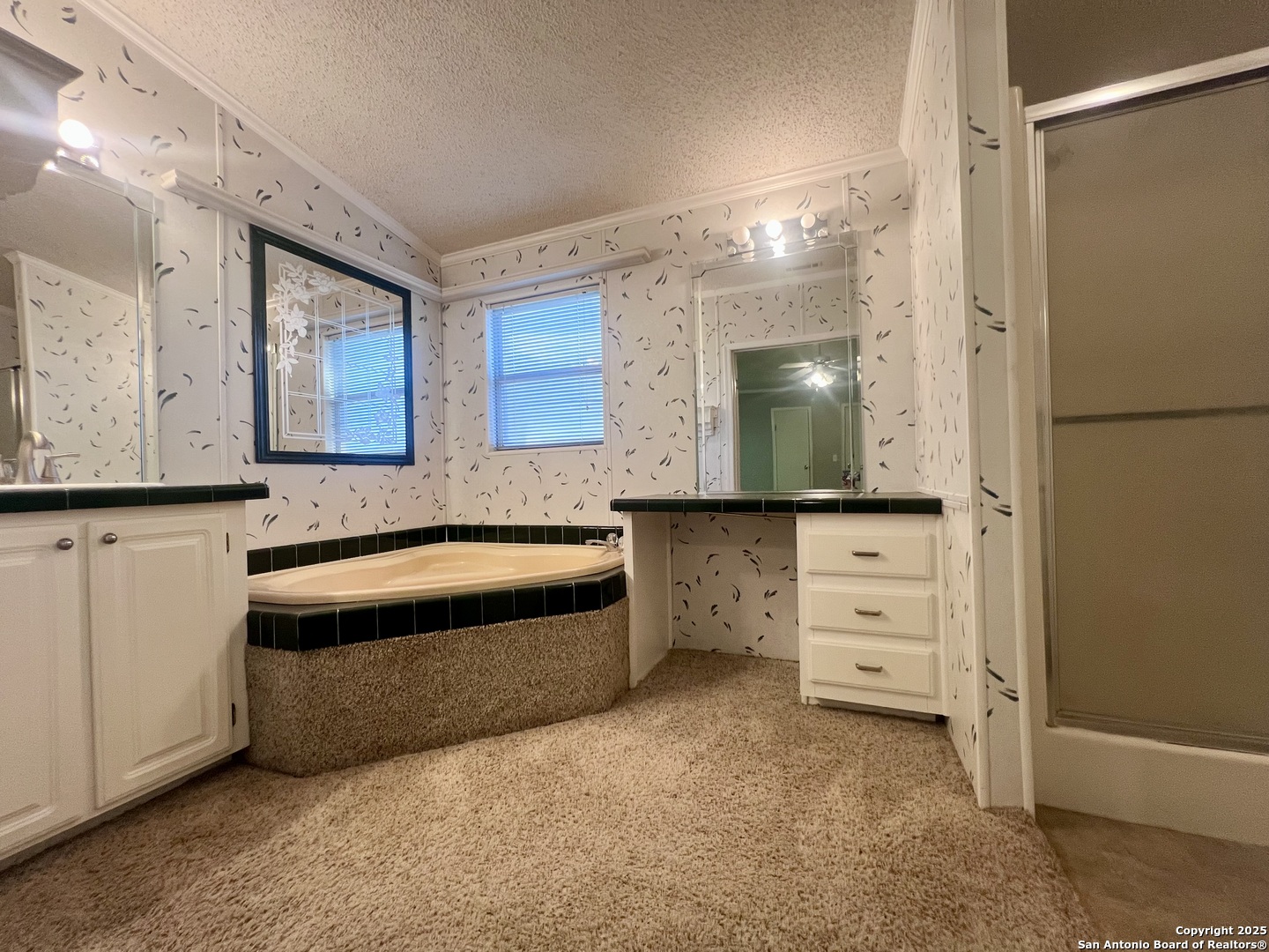 445 S Trail Pleasanton, TX 78064 - Photo 28 of 47