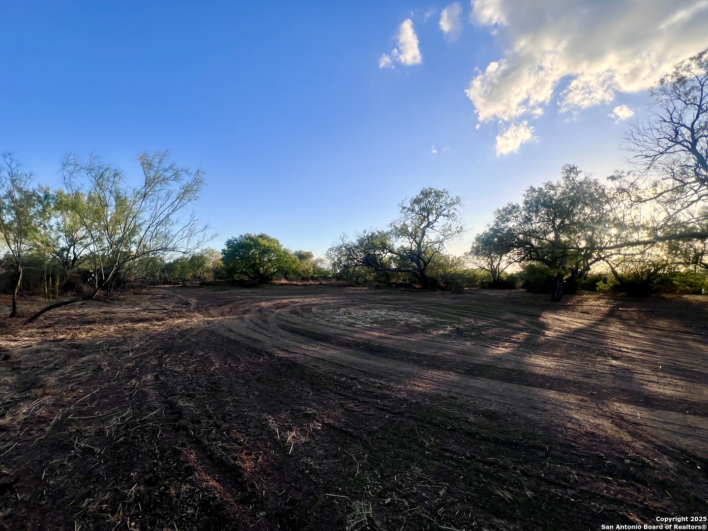 445 S Trail Pleasanton, TX 78064 - Photo 44 of 47