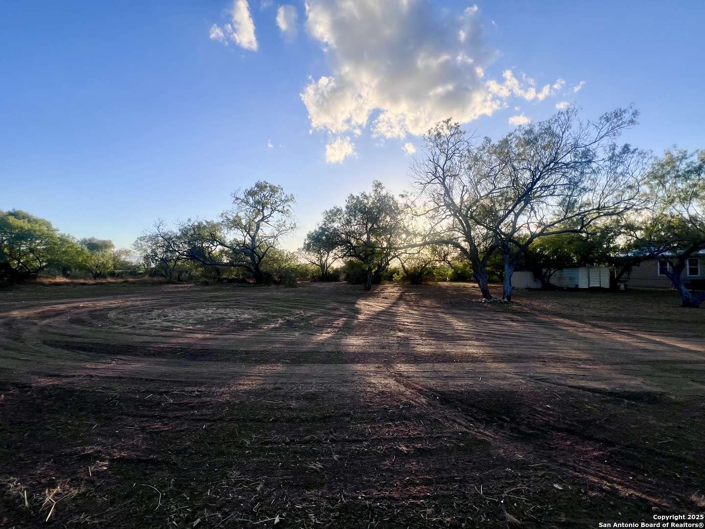 445 S Trail Pleasanton, TX 78064 - Photo 45 of 47