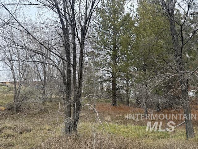 2934 East Little Basin Road King Hill, ID 83633 - Photo 28 of 29 View of undeveloped land