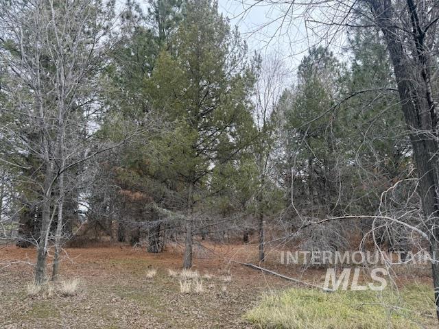 2934 East Little Basin Road King Hill, ID 83633 - Photo 29 of 29 View of local wilderness