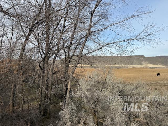 2934 East Little Basin Road King Hill, ID 83633 - Photo 5 of 29 View of undeveloped land featuring rural landscape