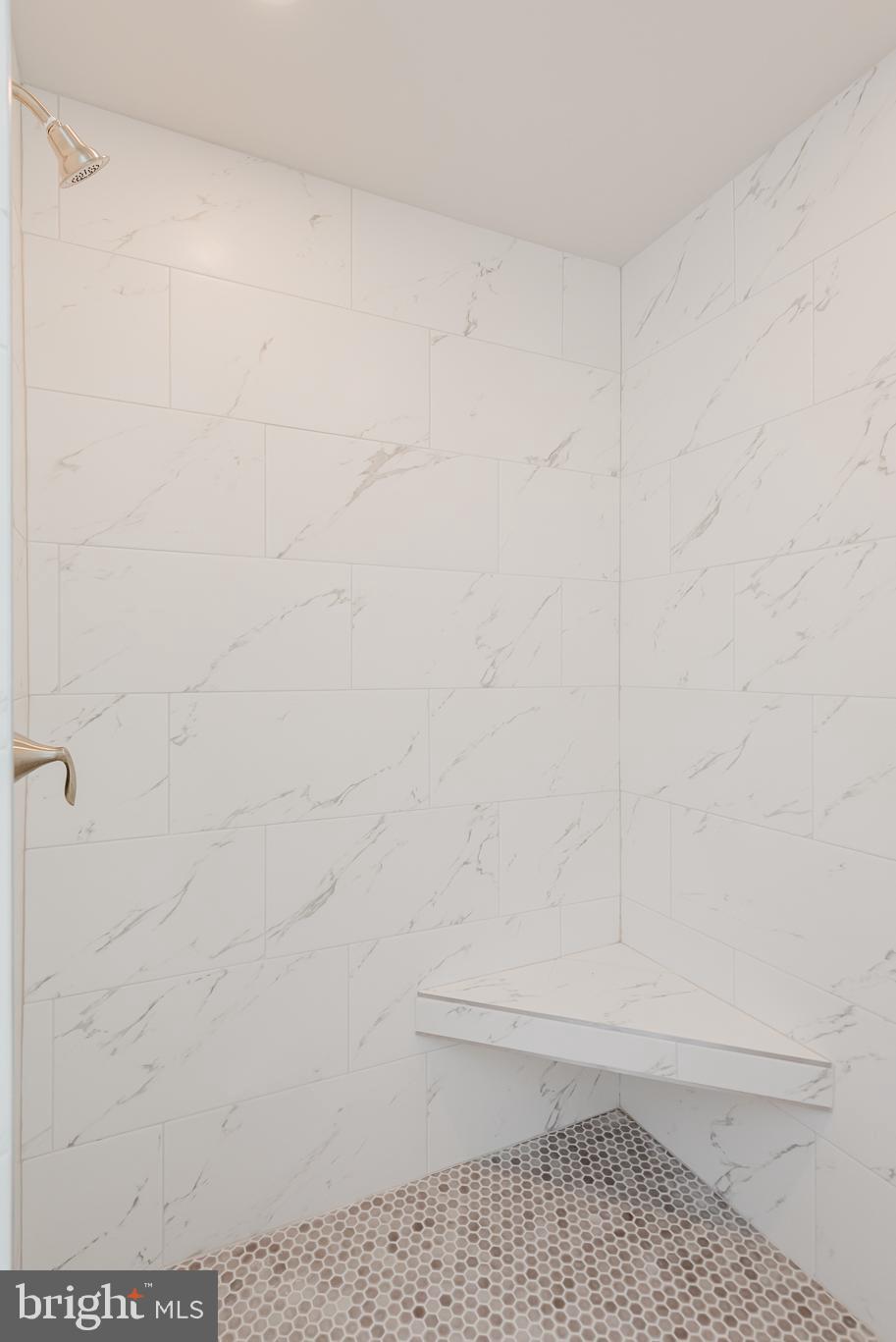 1605 Oakland Road Freeland, MD 21053 - Photo 31 of 57 Seated Shower