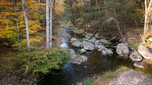 a view of outdoor space and yard