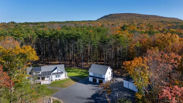 a view of a garden with a bench
