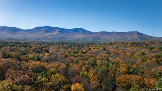 $1,650,000 | 367 South Road, Cairo, NY 12473