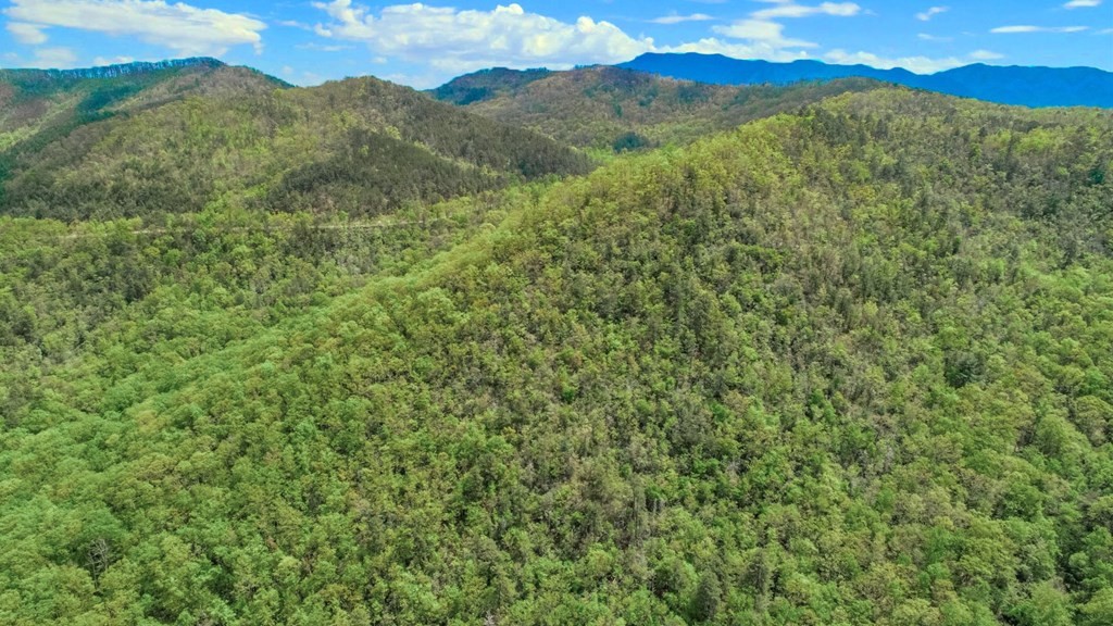 2 Rocky Ridge Road Cosby, TN 37722 - Photo 28 of 28 Gallery Image 28
