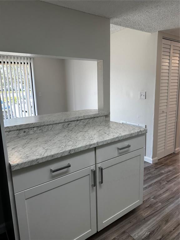 124 Loblolly Court, Unit F Oldsmar, FL 34677 - Photo 22 of 33 a view of granite countertop cabinets and window