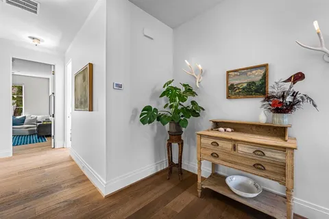 a room with furniture and a potted plant