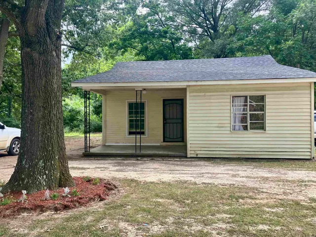 a view of a backyard with a large tree