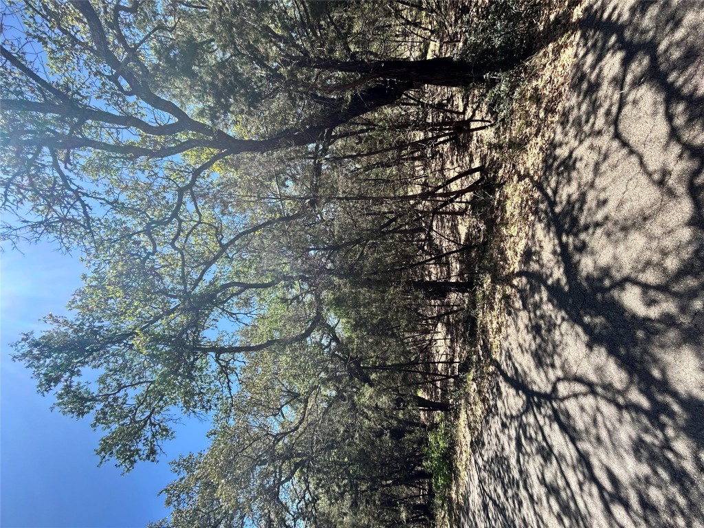 a view of outdoor space with trees