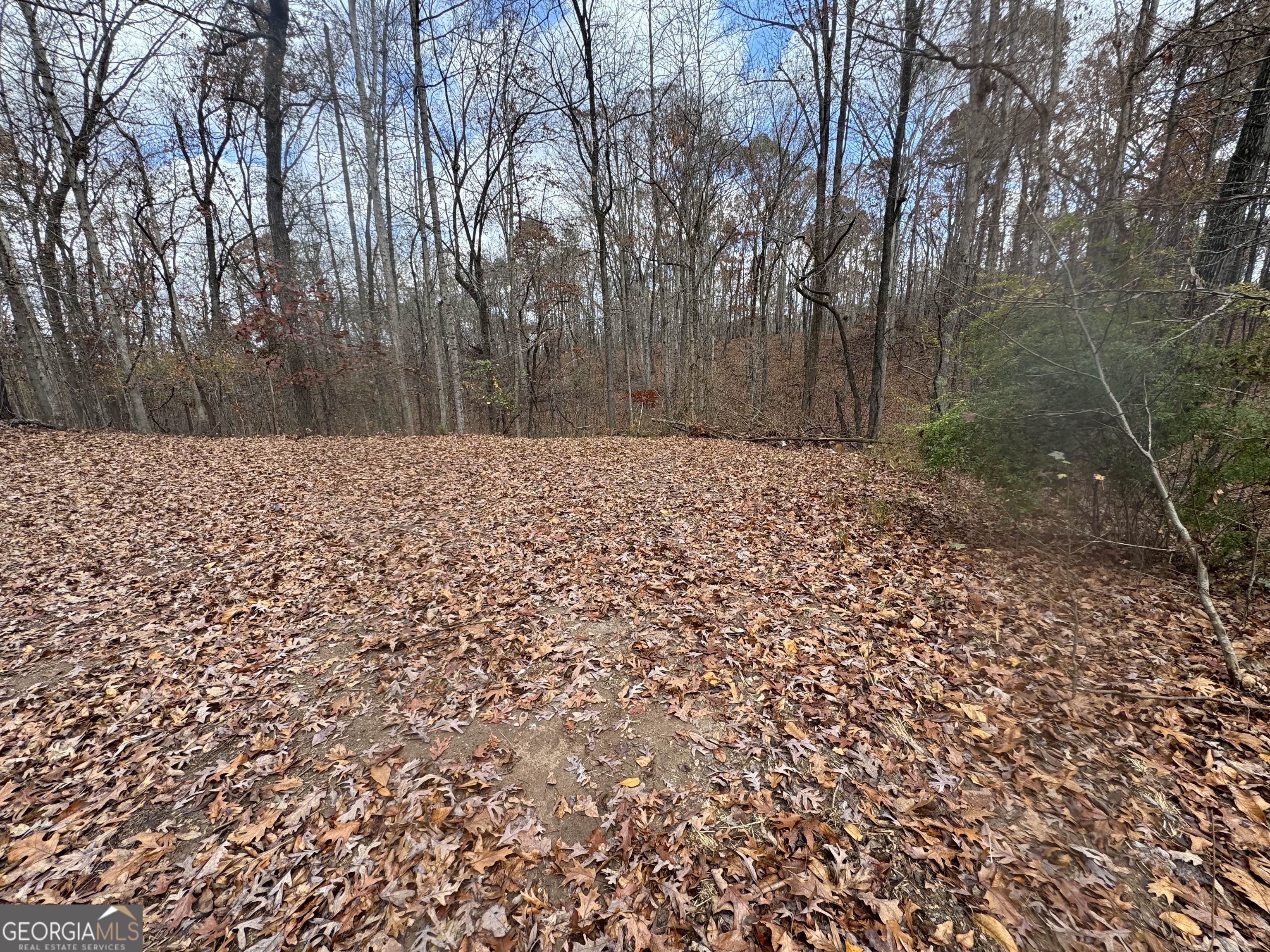 857 Laurel Lane Winder, GA 30680 - Photo 4 of 4 a wooden fence covered with trees