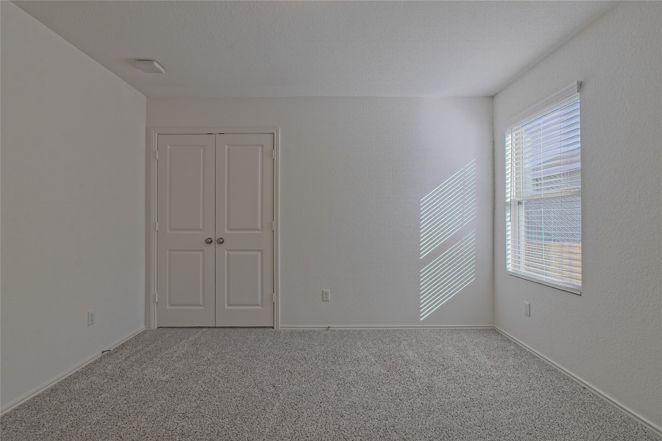 505 Greatest Gift Way Jarrell, TX 76537 - Photo 23 of 30 Carpeted spare room with baseboards