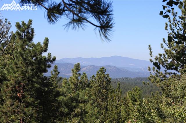 24 Spruce Creek Road Divide, CO 80814 - Photo 1 of 7 Gallery Image 1