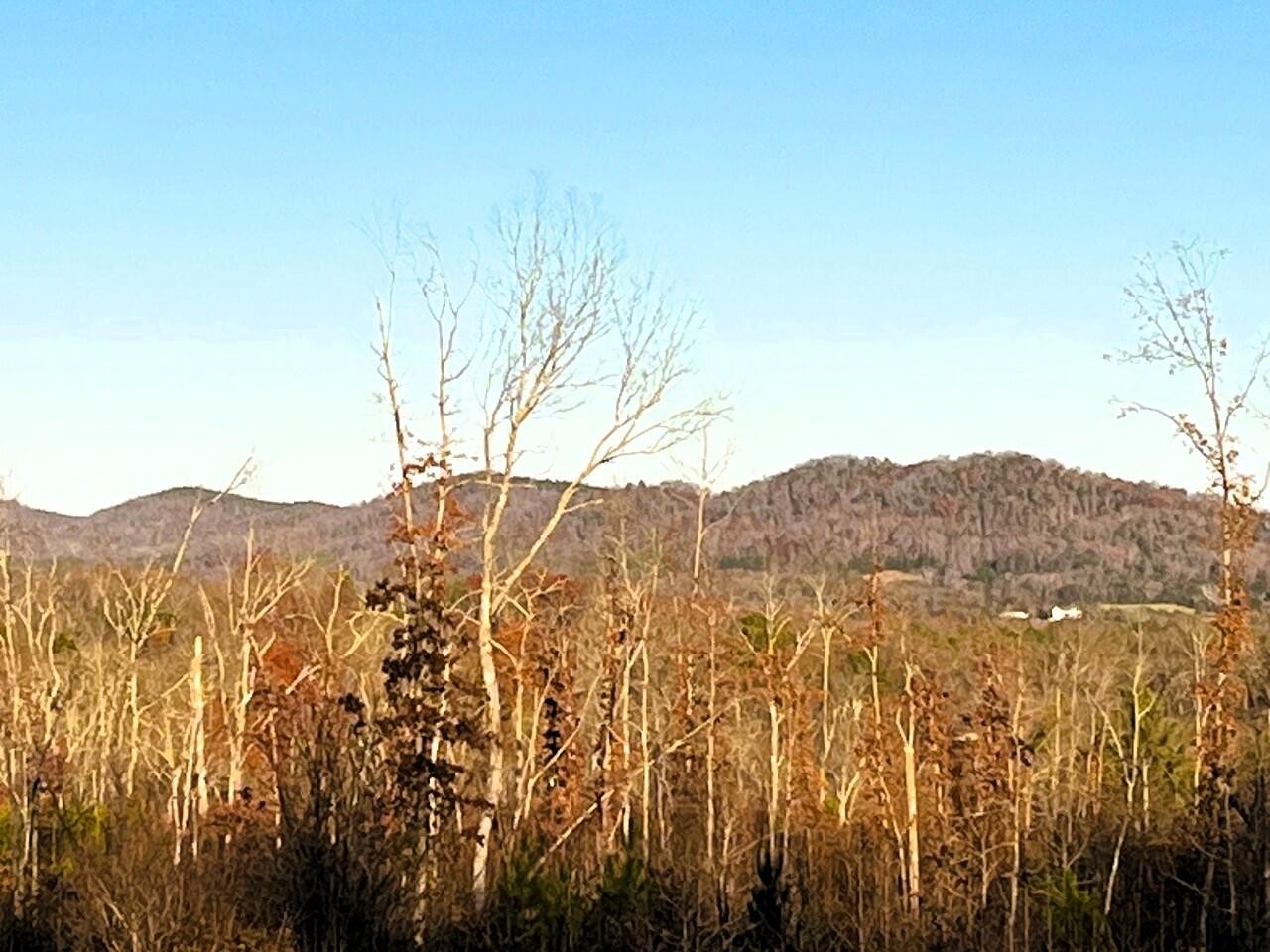 1675 Euchee Road Ten Mile, TN 37880 - Photo 21 of 30