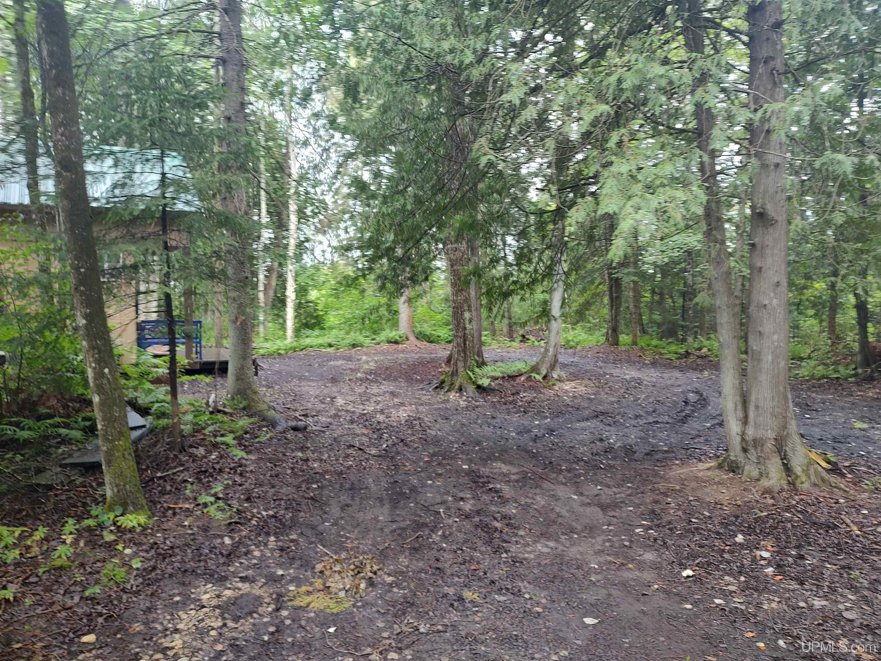 387 Rd Mcmillan Mi 49853 Road Newberry, MI 49868 - Photo 17 of 78