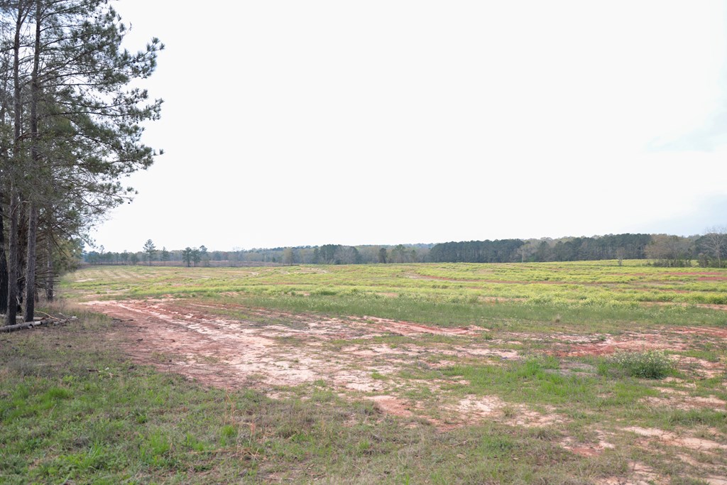 0 Travis Wise Road Samson, AL 36477 - Photo 19 of 21