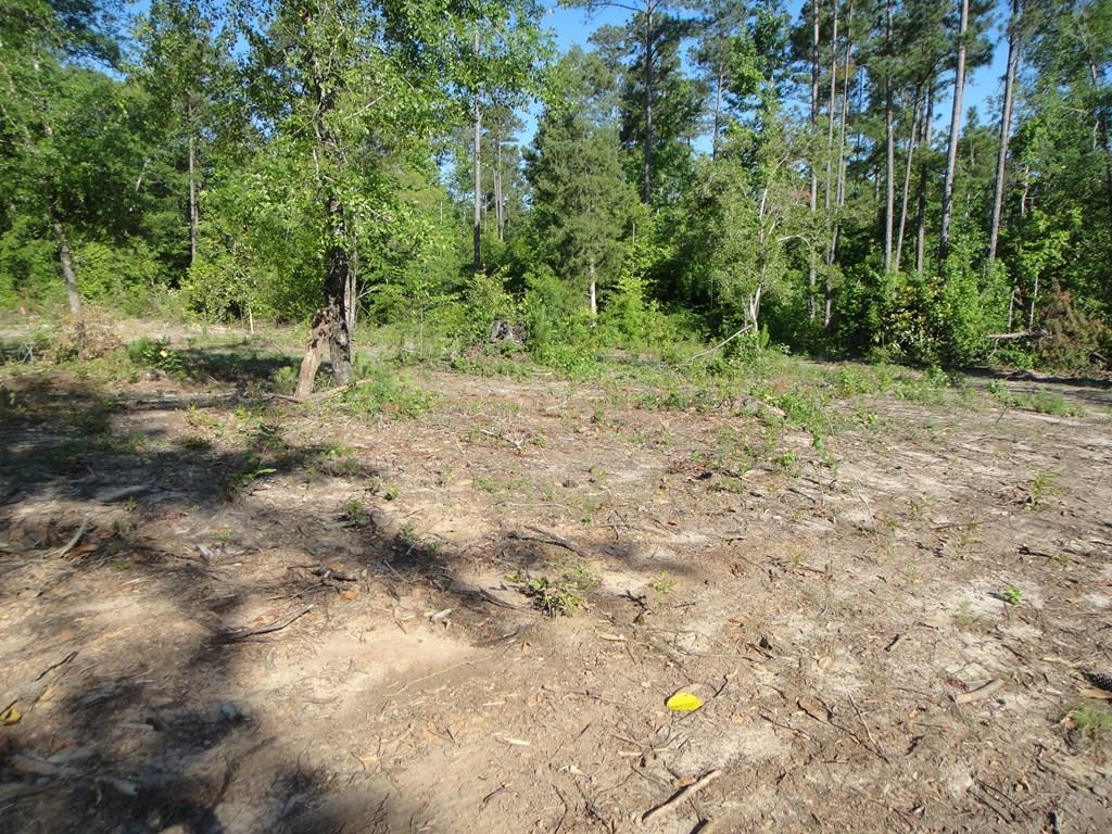 0 Otho Road Abbeville, AL 36310 - Photo 4 of 11