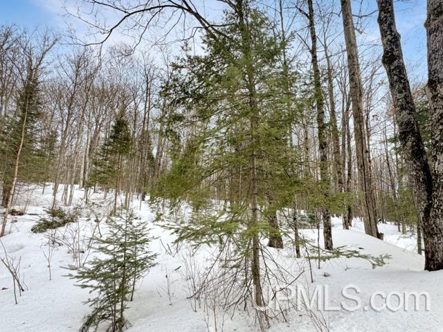 176 East Lake Emily Road Crystal Falls, MI 49920 - Photo 12 of 17