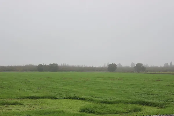 a view of a field with an outdoor space