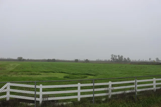 a view of a field with wooden fence and trees in the background