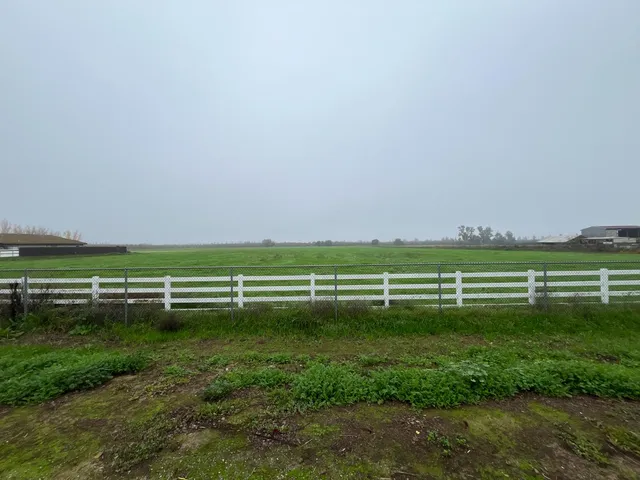 a view of a grassy field with plants and trees