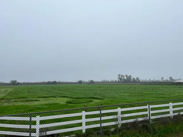 a view of a field with wooden fence