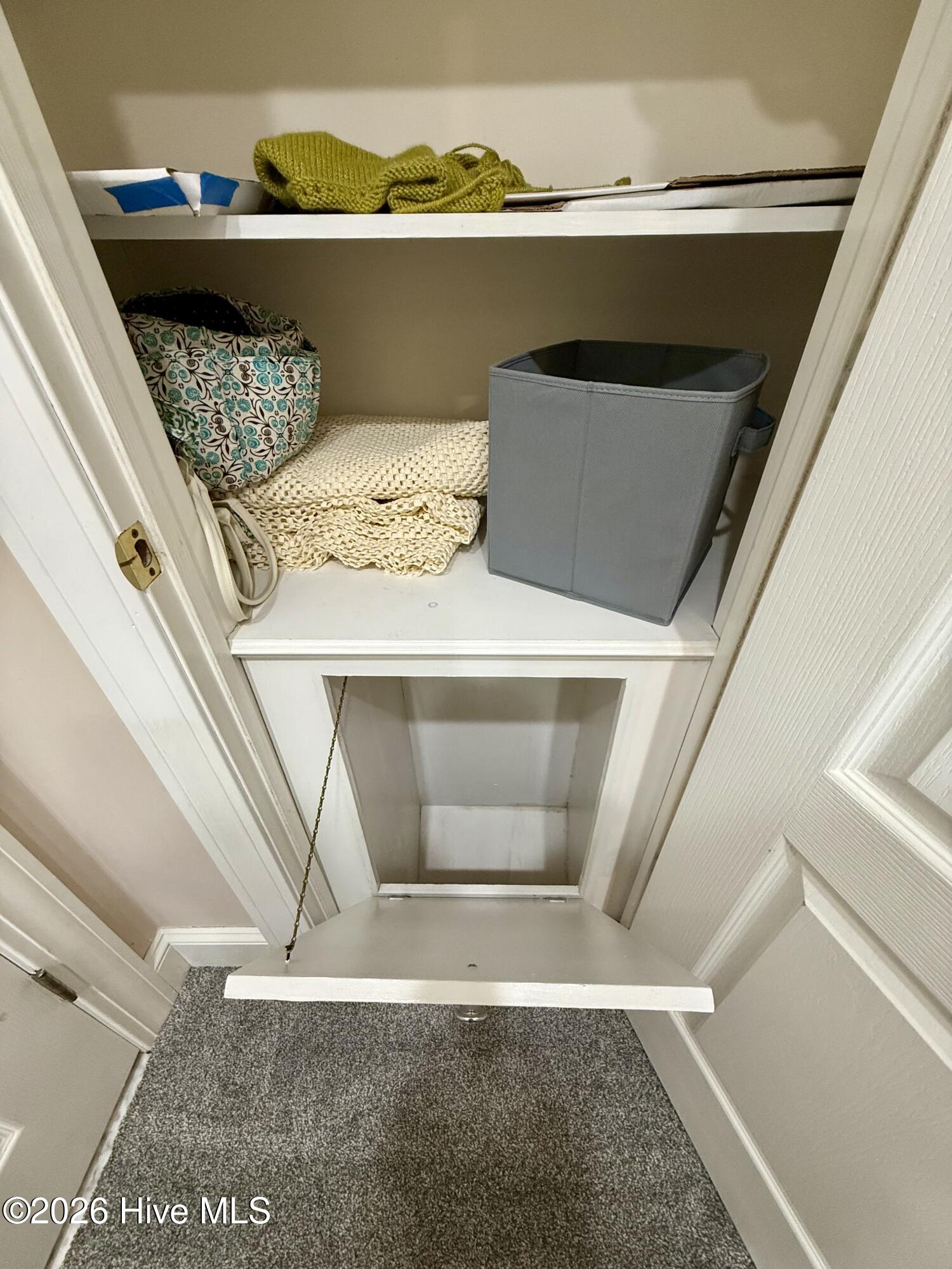 1285 Bear Grass Road Williamston, NC 27892 - Photo 120 of 130 Laundry Chute