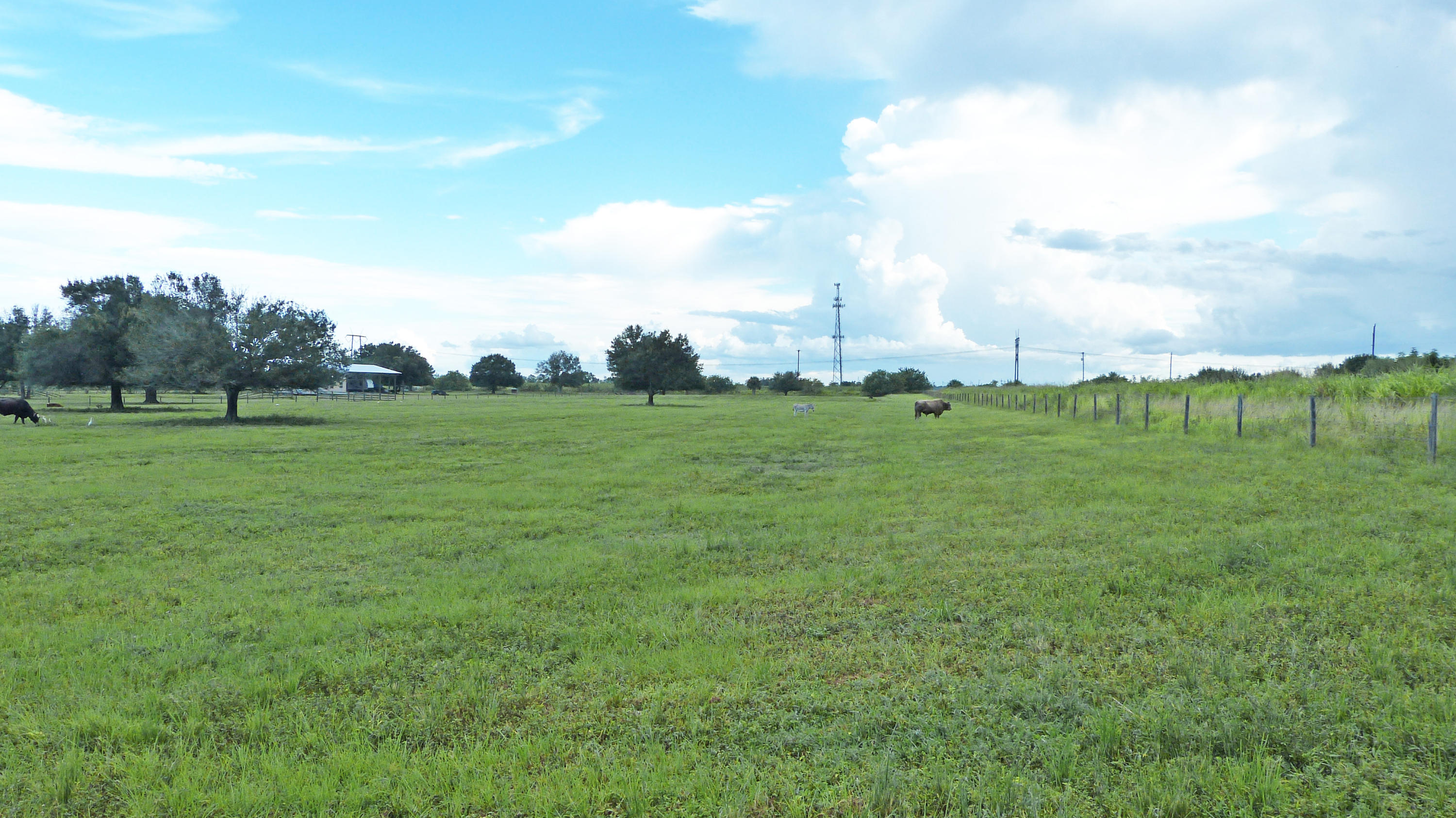 4200 South Header Canal Road Fort Pierce, FL 34945 - Photo 8 of 14 P1020222