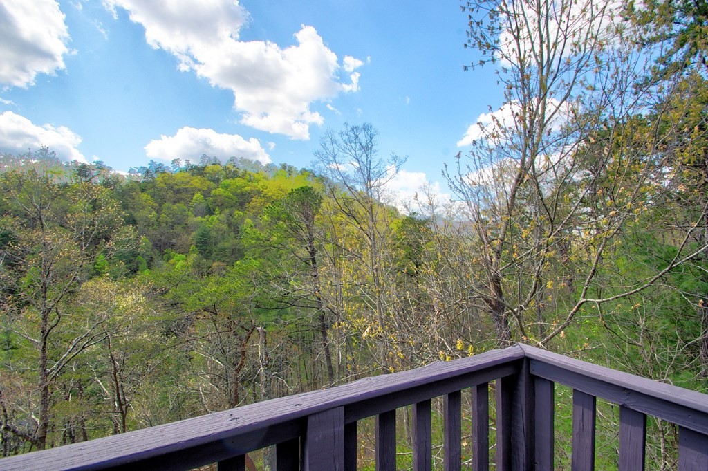 3202 Barry View Way Sevierville, TN 37862 - Photo 36 of 42 Gallery Image 36
