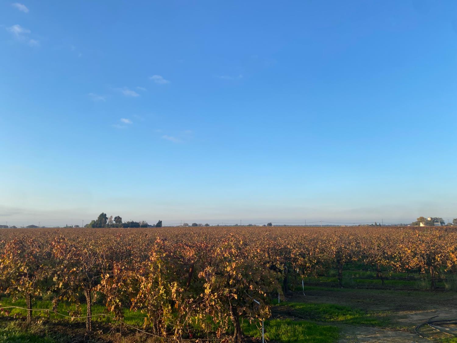 an aerial view of house with yard and mountain view in back