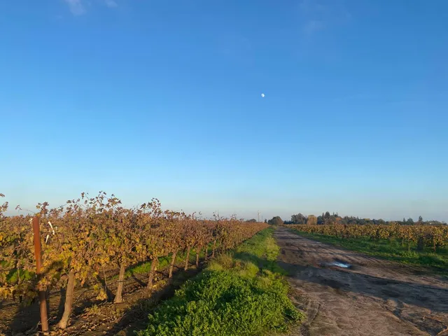 a view of a yard in front of the house