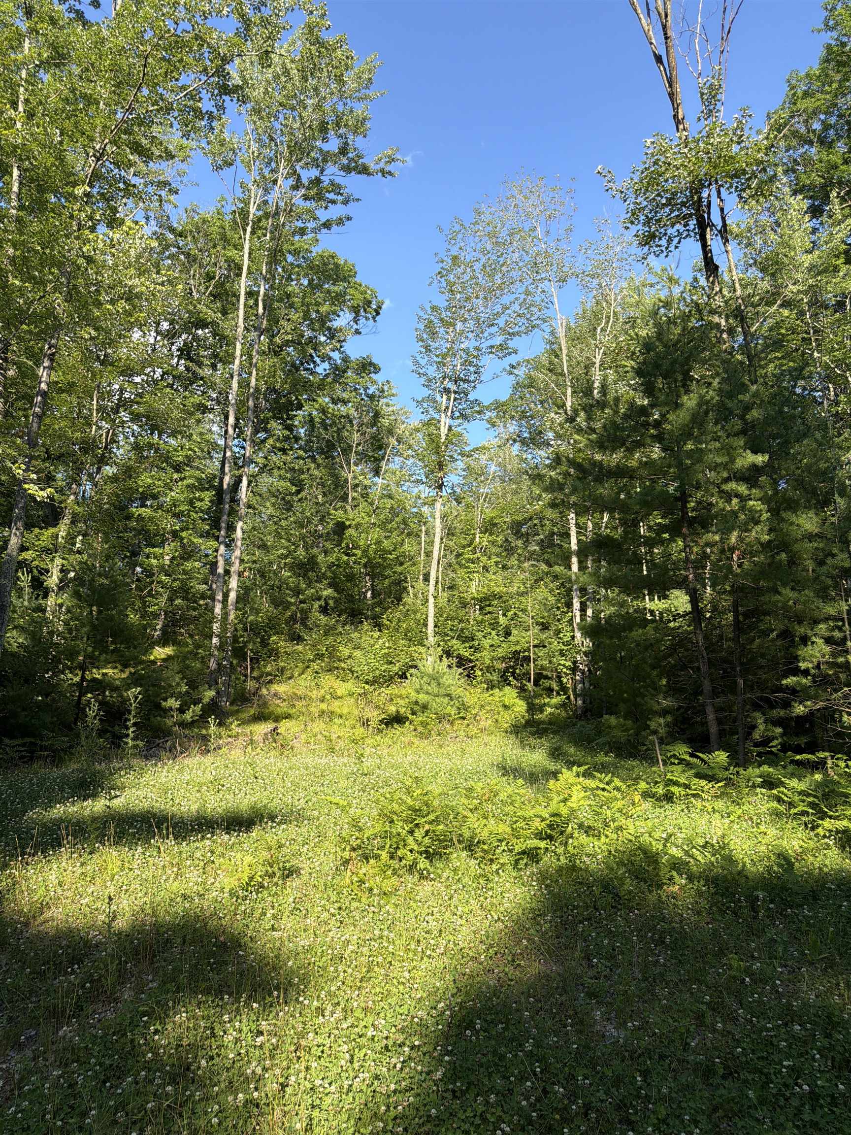 Lot 8 Rhett Lane, Unit 8 Wausaukee, WI 54177 - Photo 12 of 16