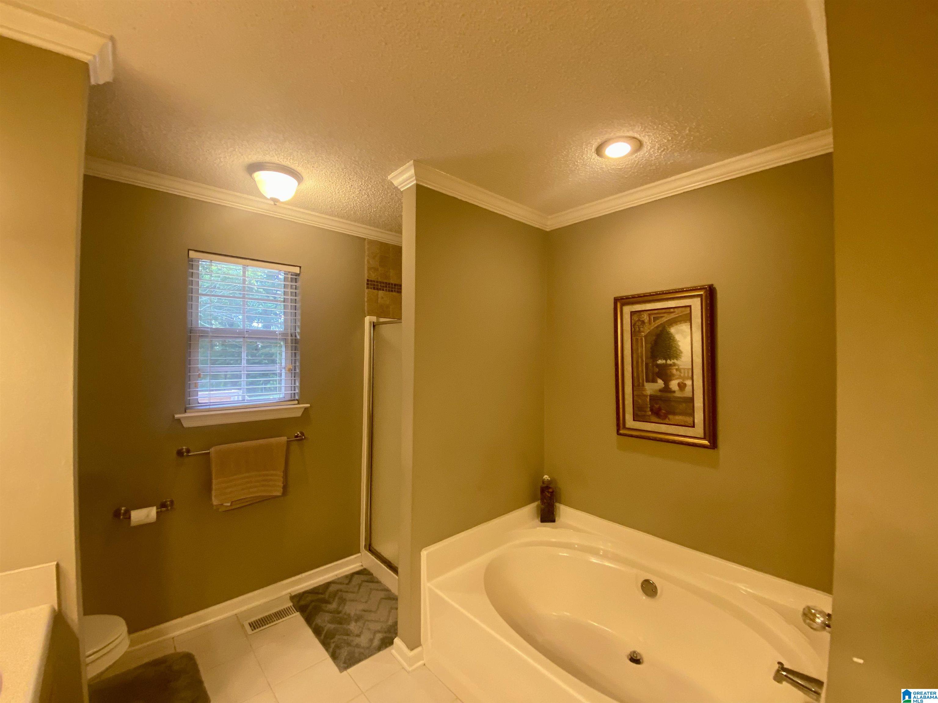 409 Wakefield Lane Mulga, AL 35118 - Photo 33 of 47