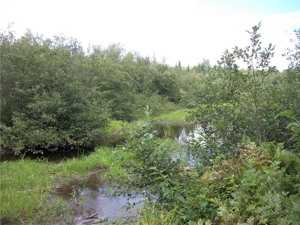 168 Winn Road Lee, ME 04455 - Photo 11 of 13 Stream, 2