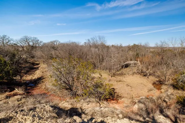 a view of a dry yard with mountains in the background