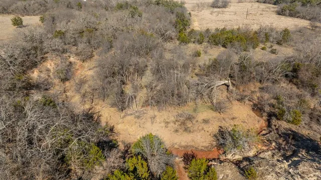 a view of a dry yard with green space