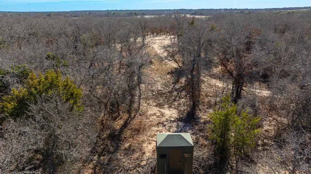 a view of a house with a yard and large tree